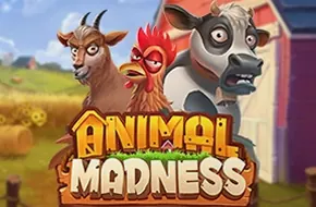 Animal Madness