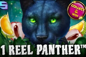 1 Reel Panther